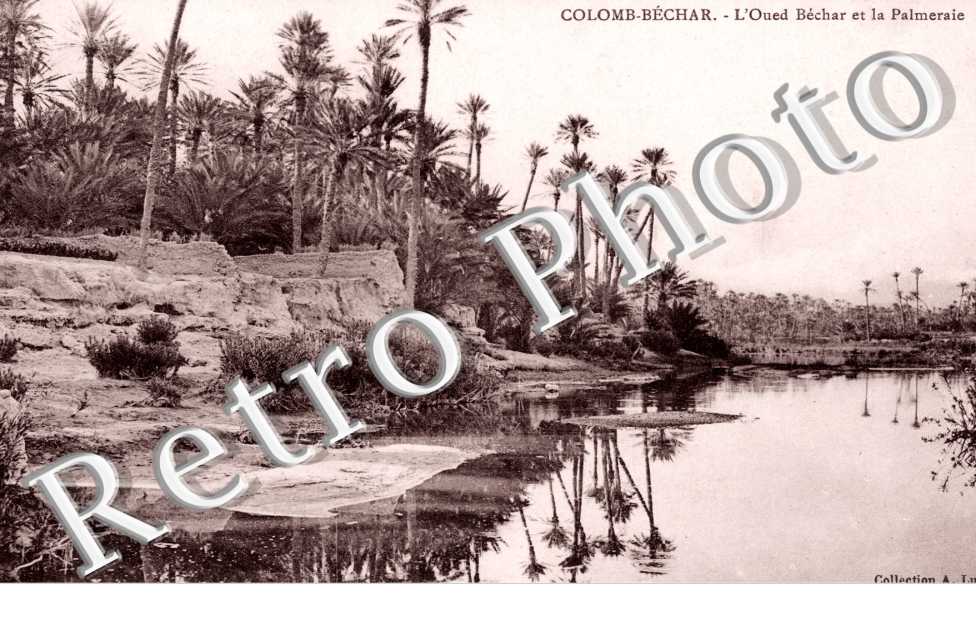 l&#039;Oued Bechar et la Palmeraie