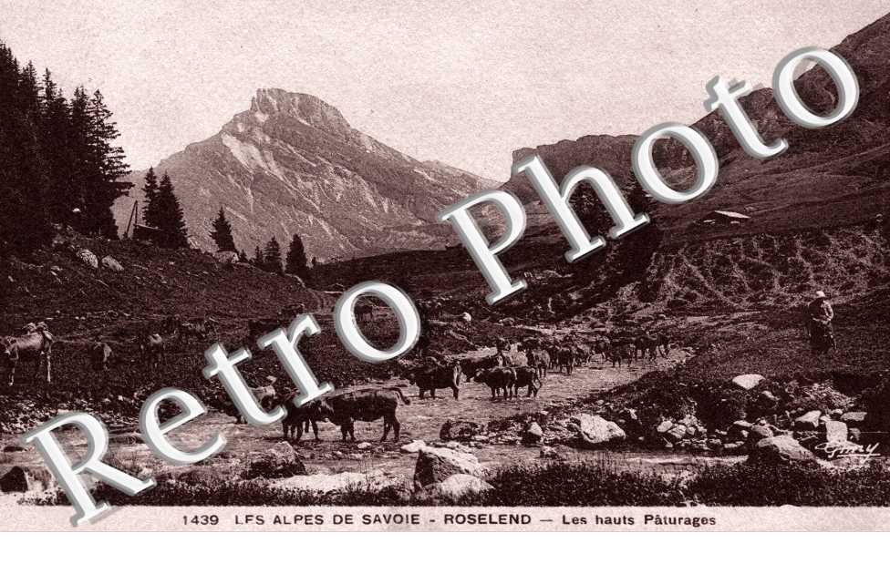 Les Alpes de Savoie ROSELEND les hauts paturages