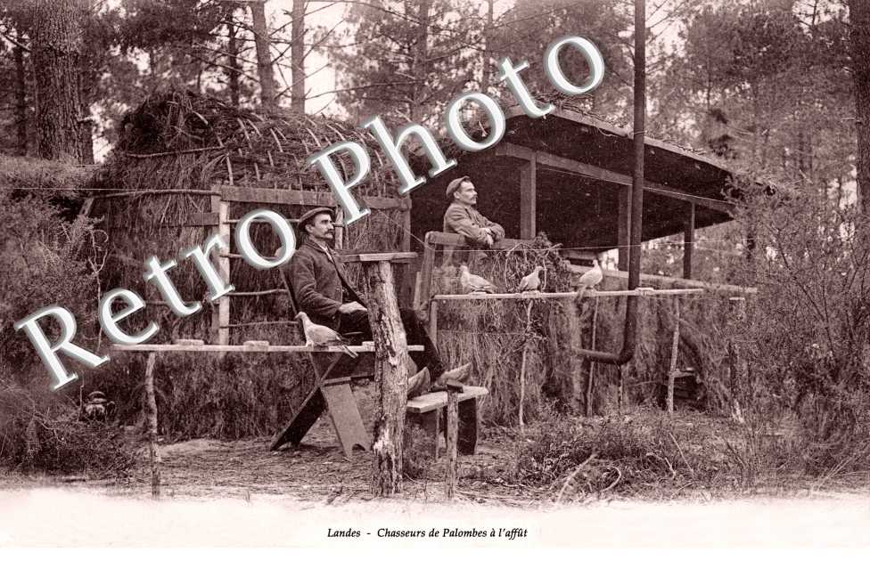 Chasseurs de Palombes à l&#039;Affût