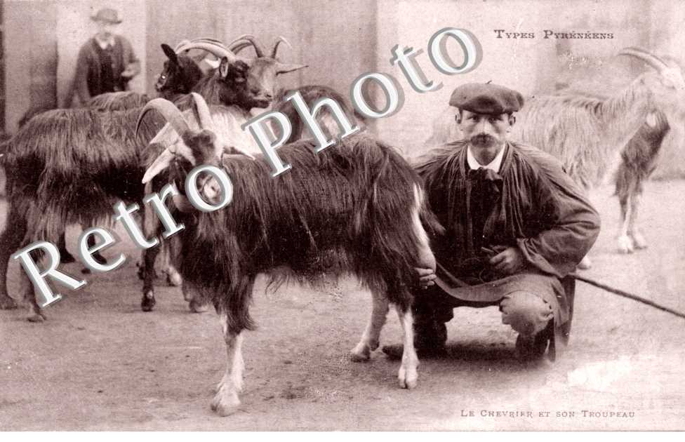 le Chevrier