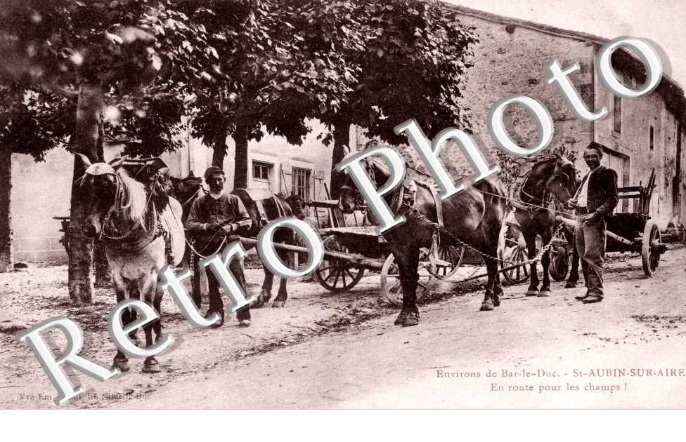 Attelage de chevaux
