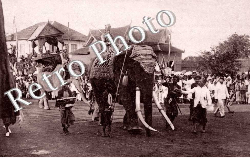 Défilé d&#039;éléphants royaux