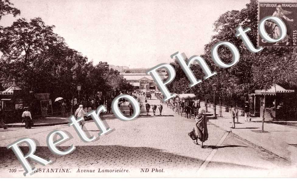 Avenue Lamoriciere