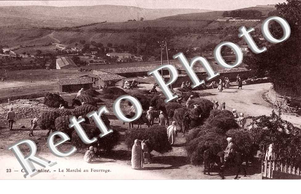 le Marche au Fourrage