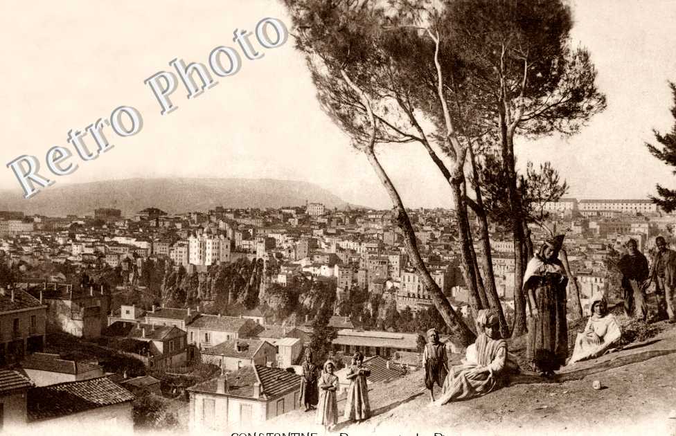 Panorama vu entre les Pins