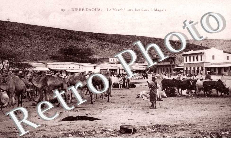 Le Marché aux Bestiaux à Magala