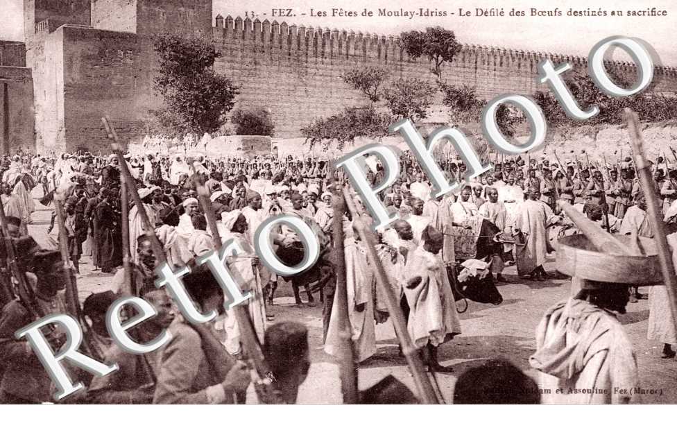 Fetes de Moulay Idriss, Defile des Boeufs destines au sacrifice