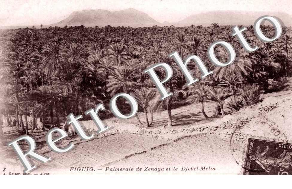 Palmeraie de Zenaga et le Djebel Melia