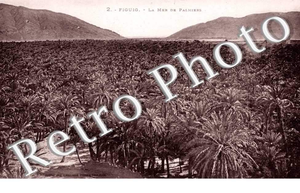 La Mer de Palmiers
