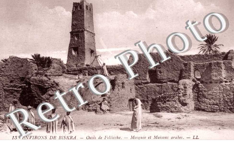 Oasis de Fillieche, Mosquee et Maisons Arabes
