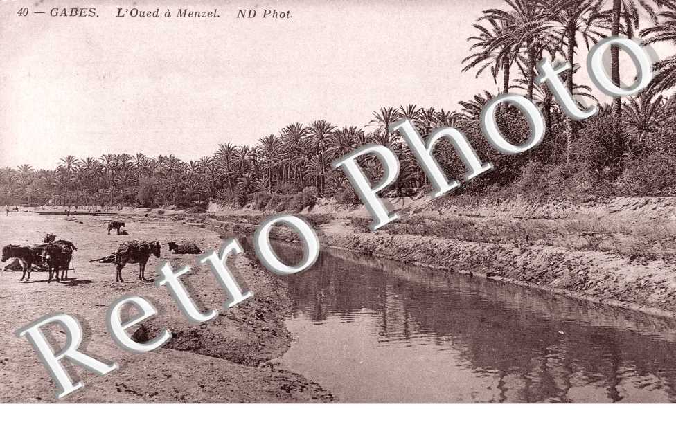 l'Oued de Menzel