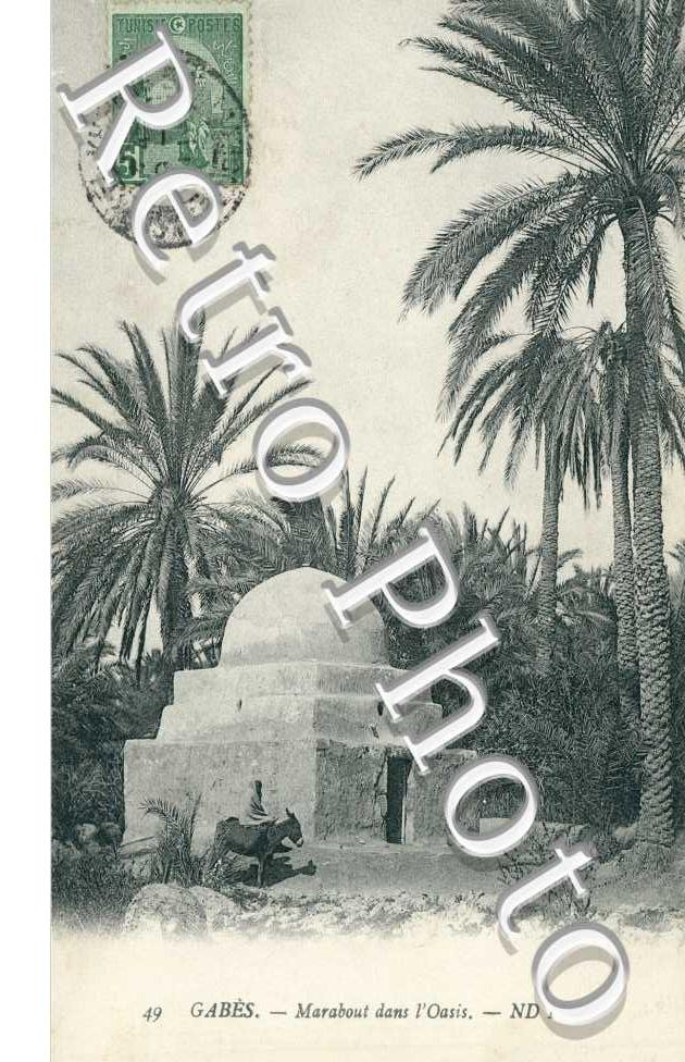 Marabout dans l'Oasis