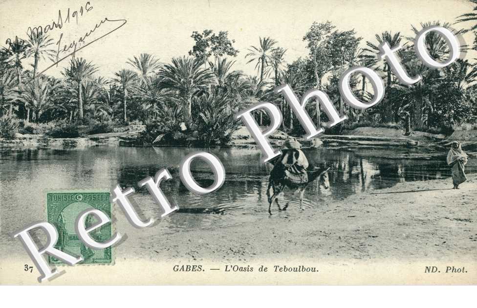 l'Oasis de Teboulbou