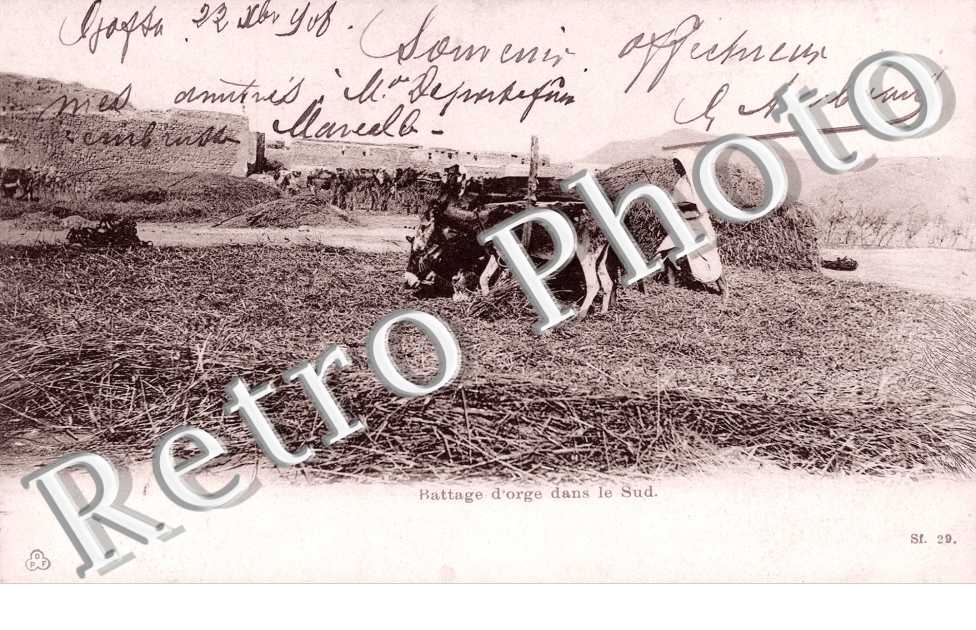 Battage d&#039;orge dans le Sud