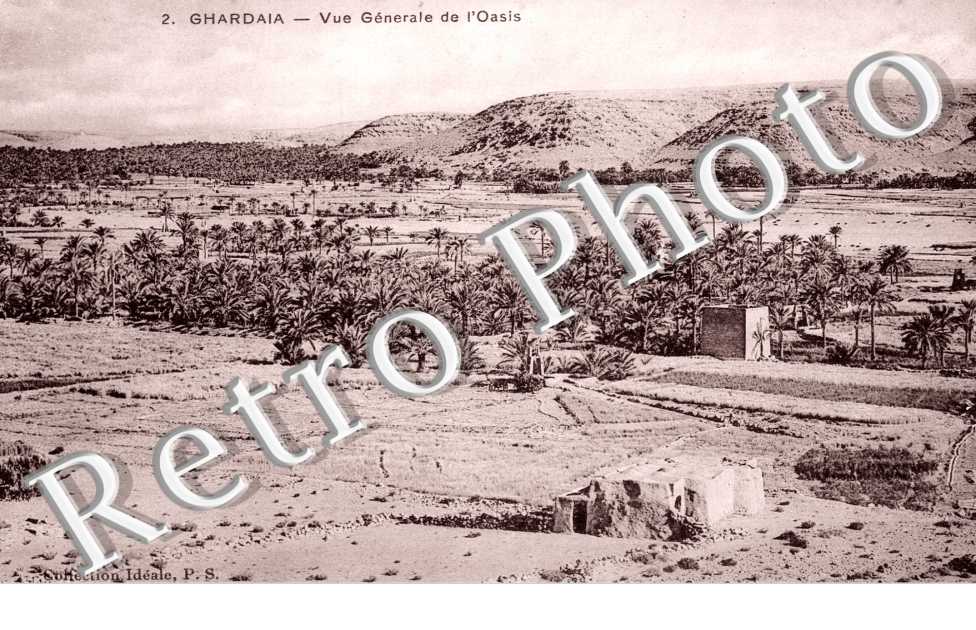 Vue generale de l&#039;Oasis