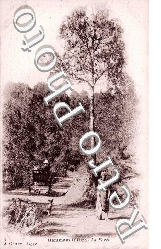 La foret