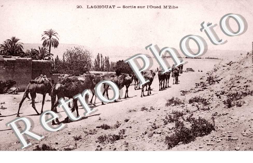Sortie sur l'Oued M'Zibe
