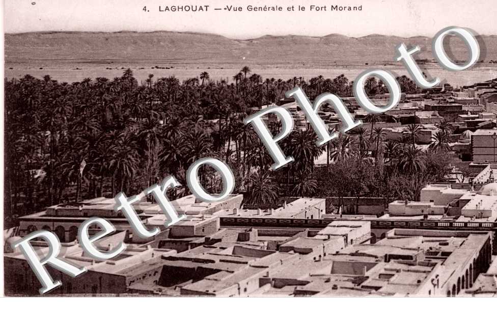 vue generale  et le fort Morand