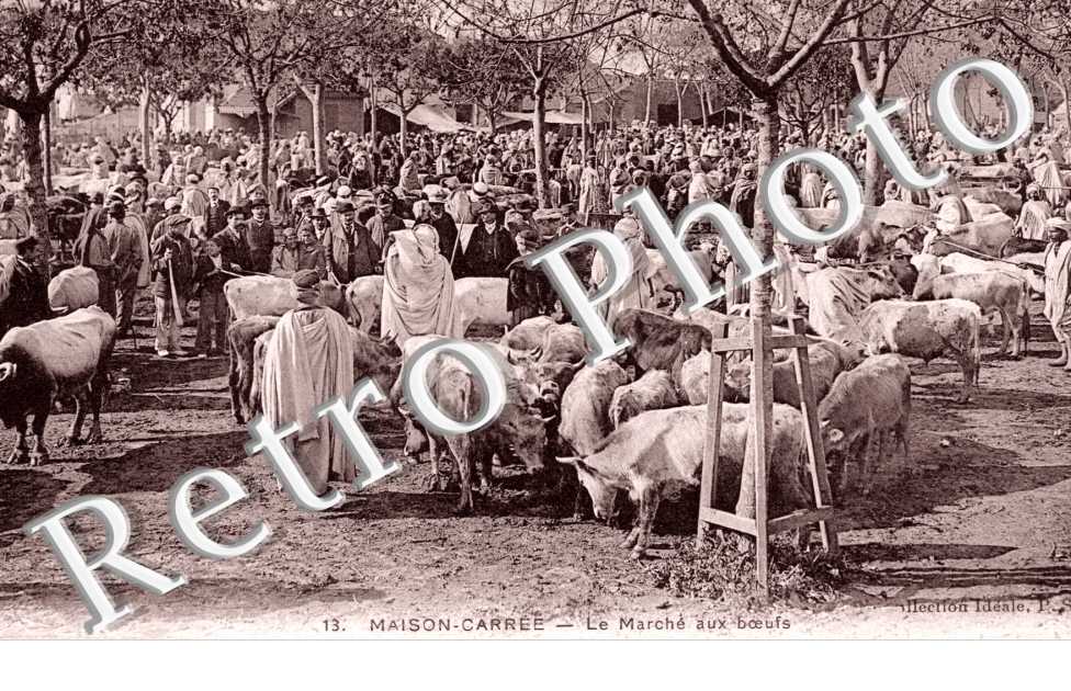 le Marche aux Boeufs
