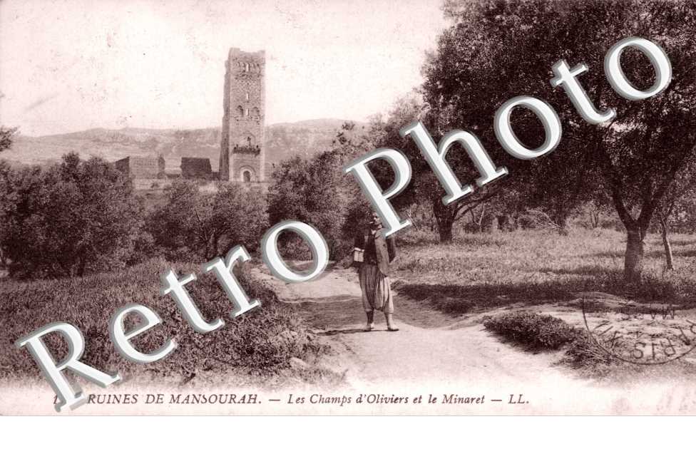 Ruines de l&#039;Enceinte de Mansourah, les Champs d&#039;Oliviers et le Minaret