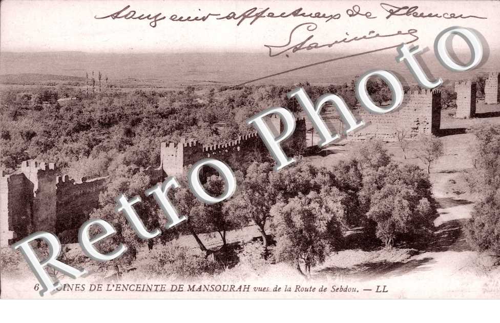 Ruines de l&#039;Enceinte de Mansourah, Vue de la Route de Sebdou