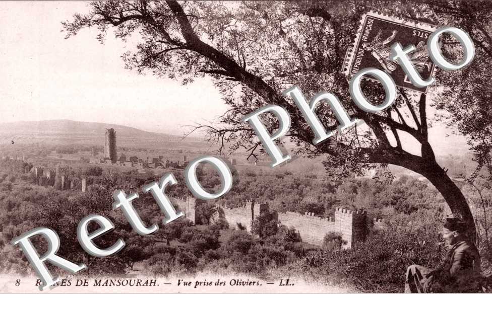Ruines de l&#039;Enceinte de Mansourah, Vue prise des Oliviers