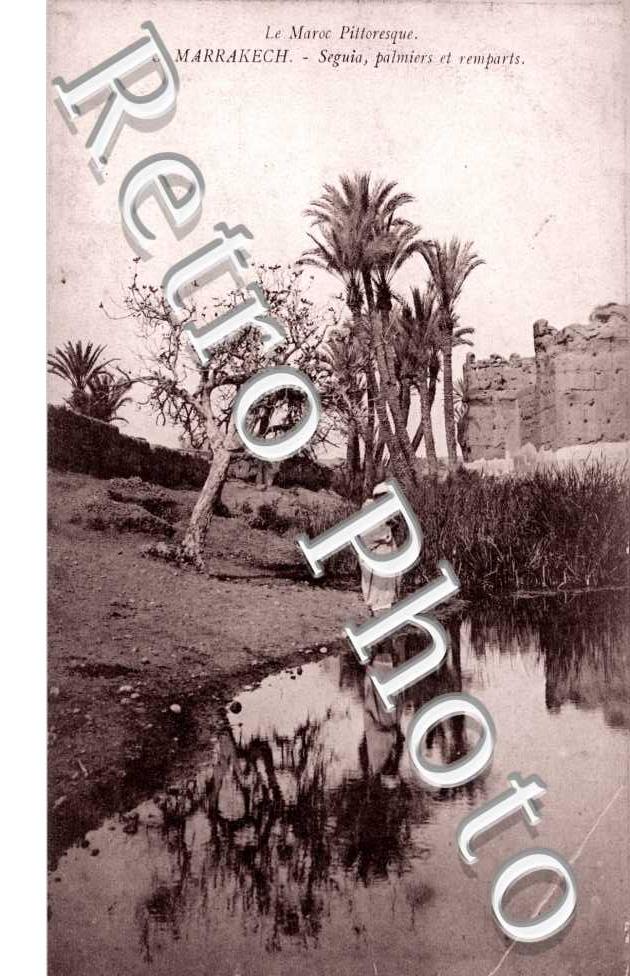 Seguia, palmiers et remparts
