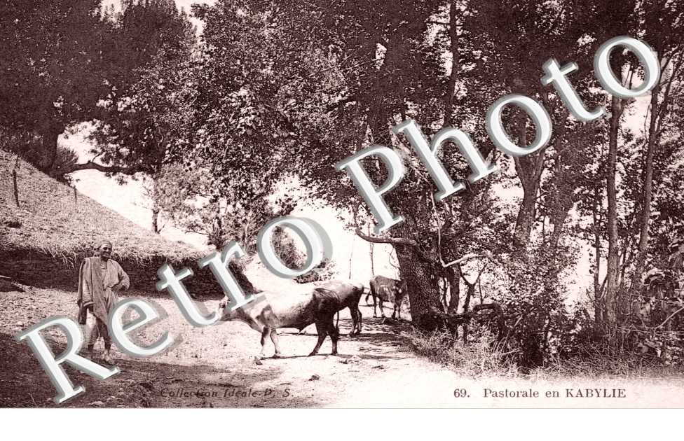 Pastorale en kabylie