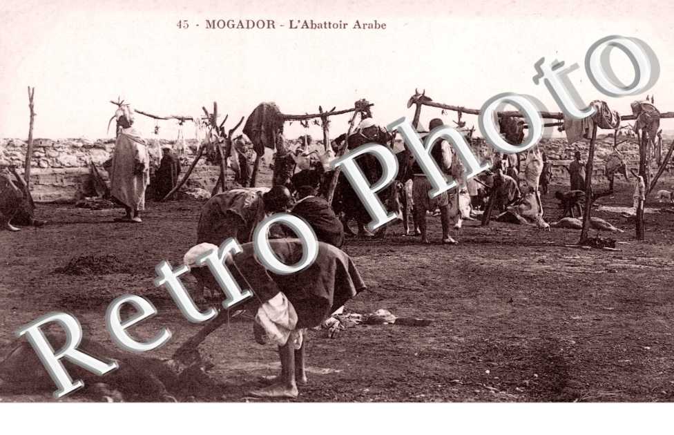 Abattoir Arabe