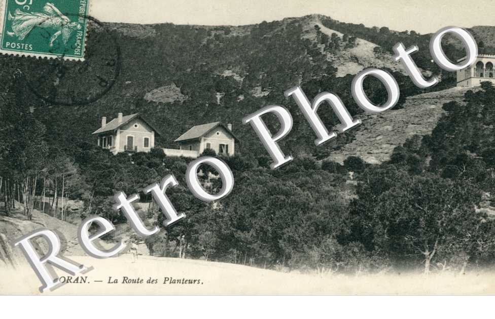 route des planteurs