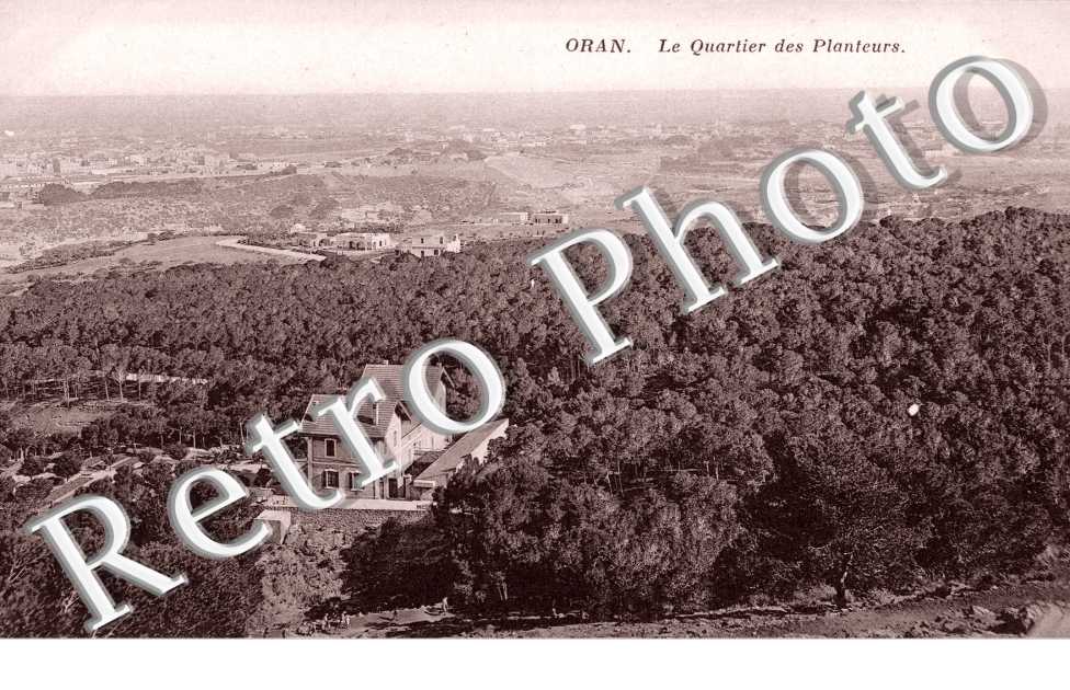 le quartier des planteurs