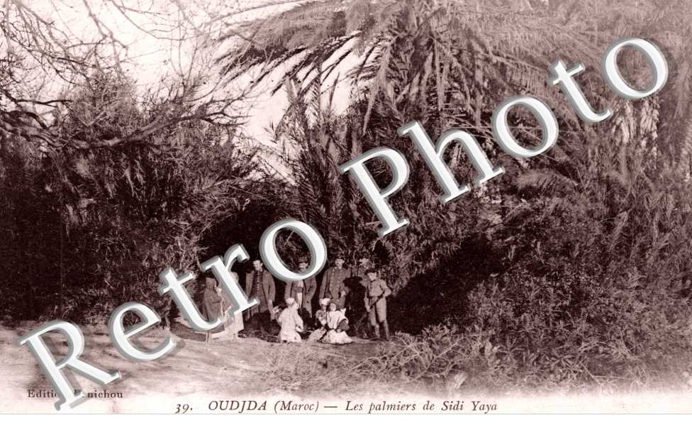 Un Palmier de Sidi Yaya