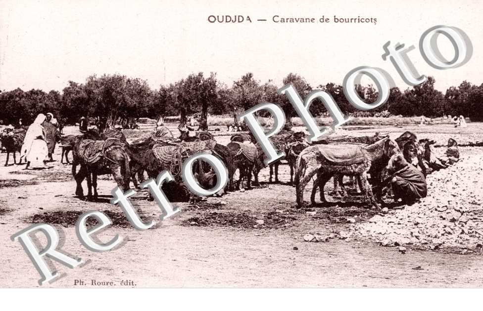 Caravane de Bourricots