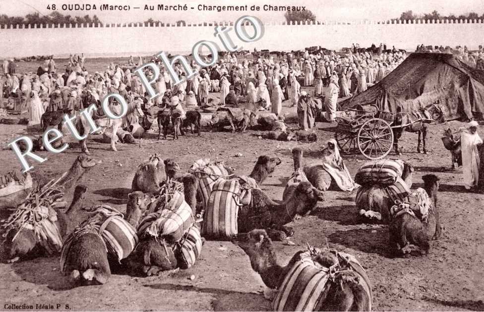 Marche, chargement de chameaux