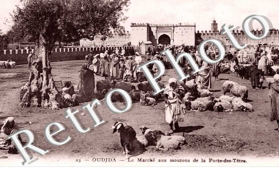 le marche aux moutons de la Porte des Tetes
