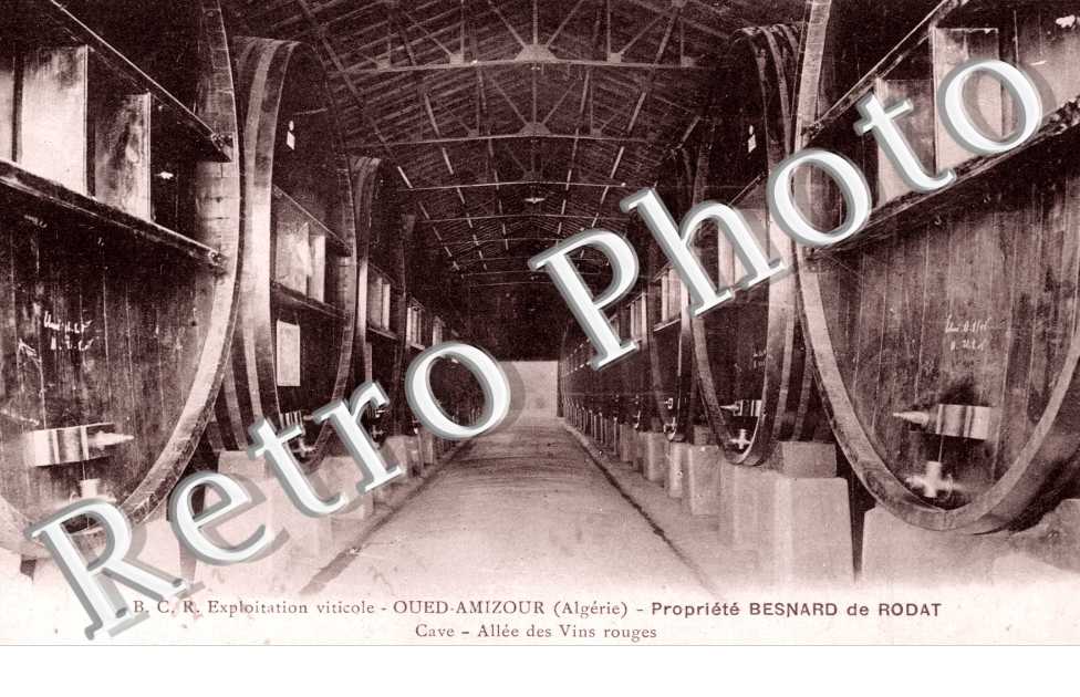 Propriete Besnard de Rodat - cave allee des vins rouges