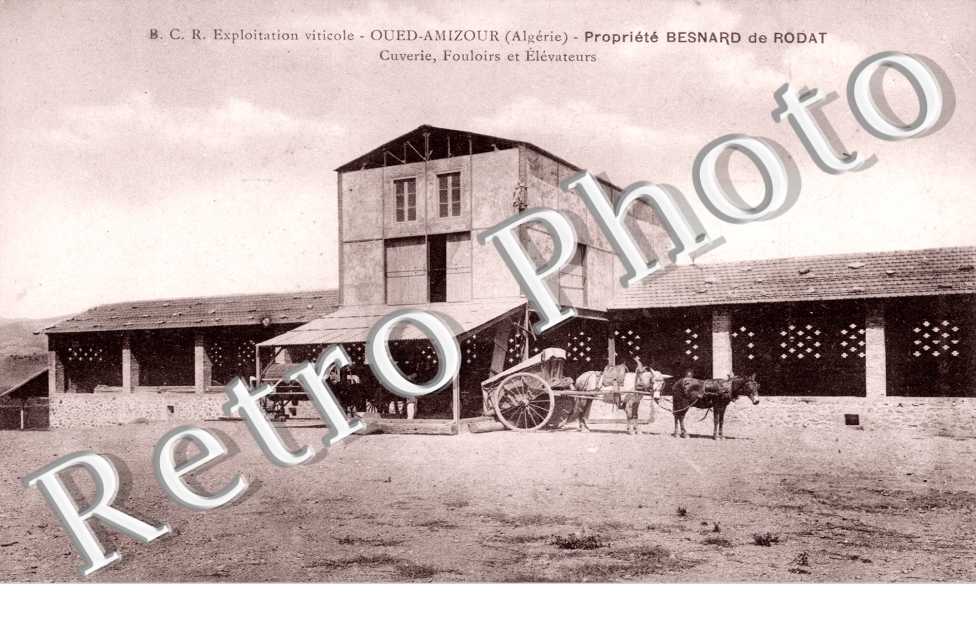 Exploitation viticole - propriété Besnard de Rodat - cuverie - fouloirs et élévateurs