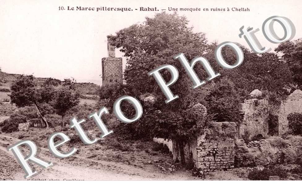 Une mosquee en ruines a Chellah