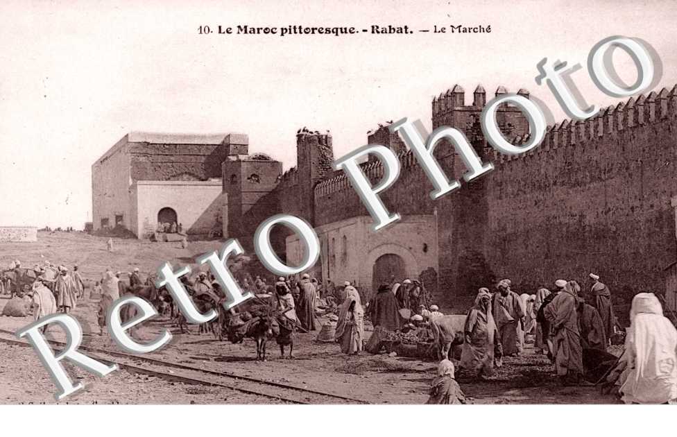 le Marche