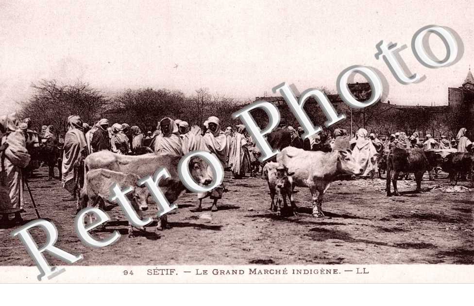 Marche Indigene