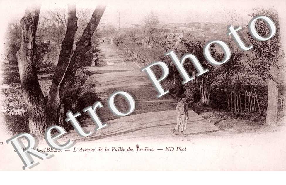 l'avenue de la vallée des jardins