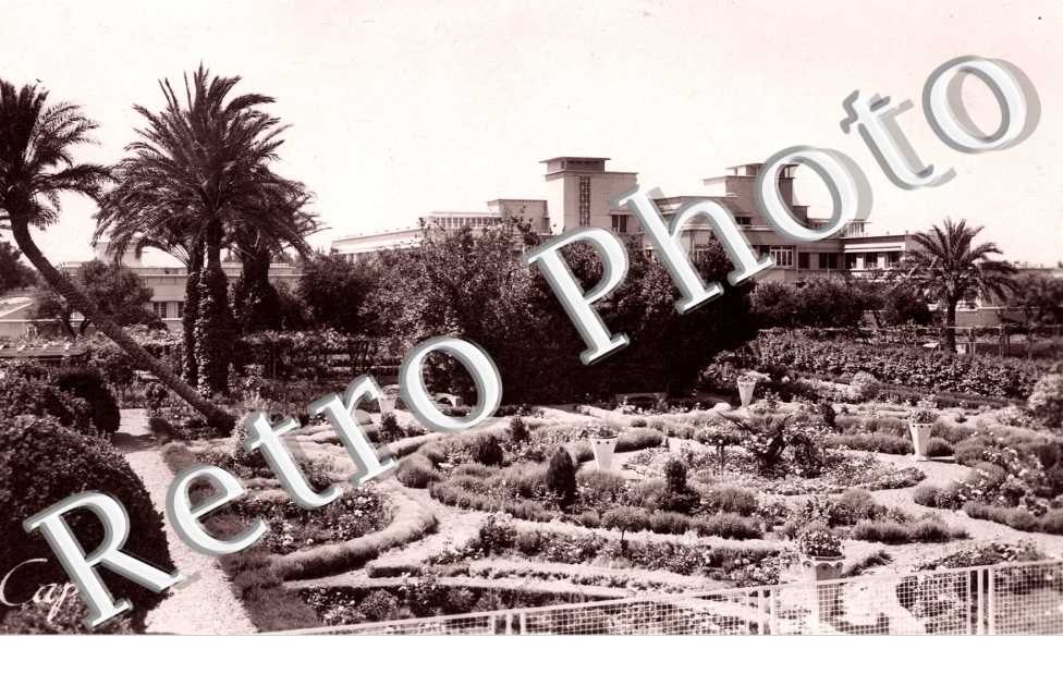 jardin