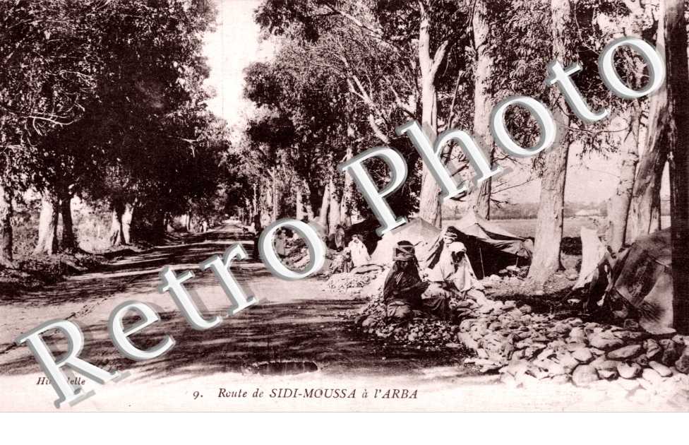 Route de Sidi-Moussa a l&#039;Arba