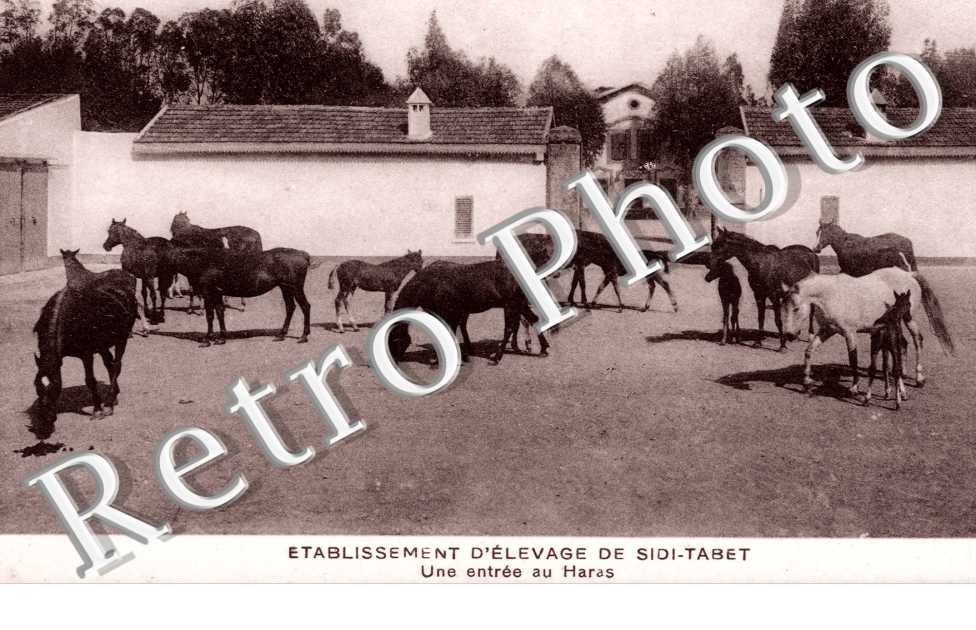 Etablissement d'Elevage de Sidi-Tabet, une Entree du Taras