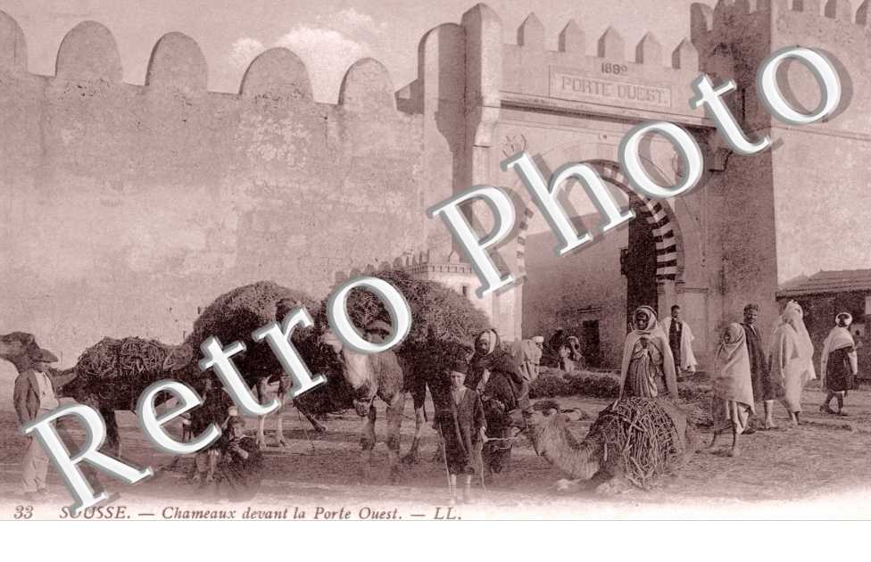 Chameaux devant la porte Ouest