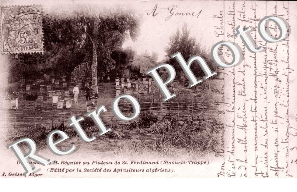 Un rucher de M. Regnier