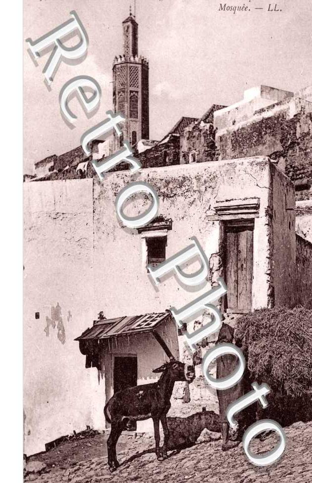 Maisons Mauresques et Tour de la Mosquee