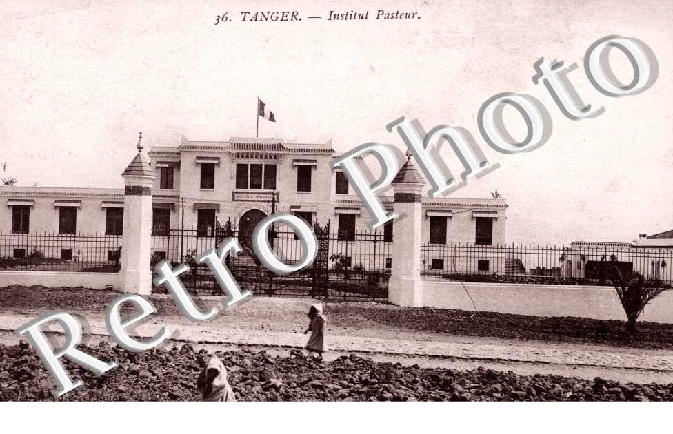 Intitut Pasteur