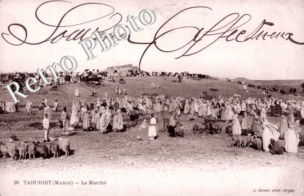 le Marche