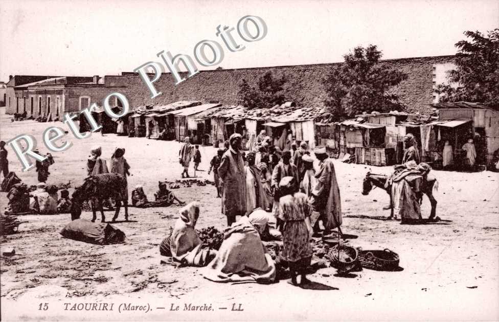 le Marche